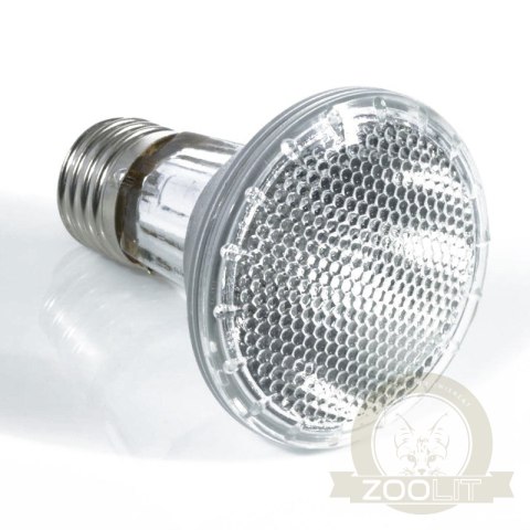 Komodo Halogen 35W - halogen grzewczy 3w1 Komodo Halogen 35W - halogen grzewczy 3w1