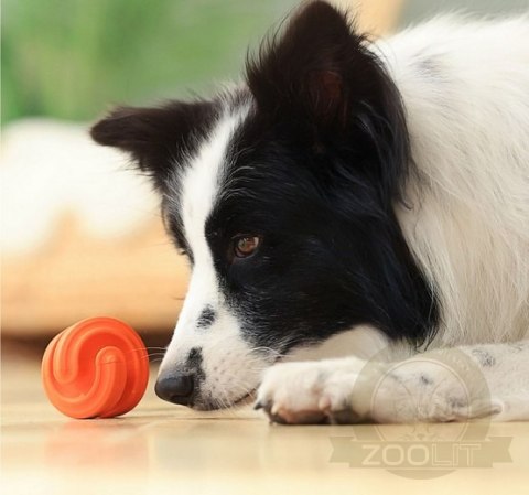 PetDreamHouse Zabawka gumowa Geo-Hex pomarańczowa PetDreamHouse Zabawka gumowa Geo-Hex pomarańczowa