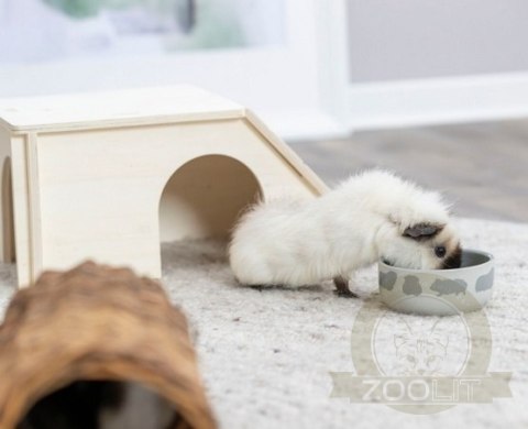 Trixie Miska ceramiczna 250ml dla świnki morskiej [60732]