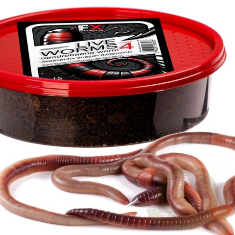 Fishing Expedition Live Worms No.4 - żywe robaki Dendrobena rozmiar 4 Fishing Expedition Live Worms No.4 - żywe robaki Dendrobena rozmiar 4