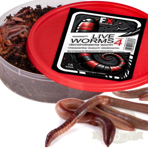 Fishing Expedition Live Worms No.4 - żywe robaki Dendrobena rozmiar 4 Fishing Expedition Live Worms No.4 - żywe robaki Dendrobena rozmiar 4