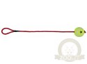 Trixie Piłka tenisowa na sznurku 6cm/50cm [3479]