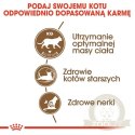 Royal Canin Ageing +12 Sterilised karma sucha dla kotów dojrzałych, sterylizowanych 4kg
