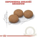 Royal Canin Ageing +12 Sterilised karma sucha dla kotów dojrzałych, sterylizowanych 4kg