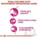 Royal Canin Exigent Aromatic Attraction karma sucha dla kotów dorosłych, wybrednych, kierujących się zapachem 2kg