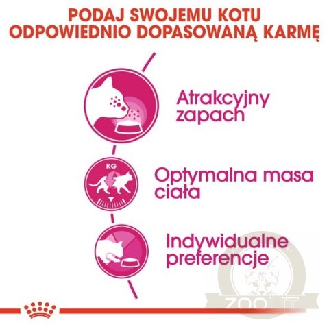 Royal Canin Exigent Aromatic Attraction karma sucha dla kotów dorosłych, wybrednych, kierujących się zapachem 2kg Royal Canin Exigent Aromatic Attraction karma sucha dla kotów dorosłych, wybrednych, kierujących się zapachem 2kg