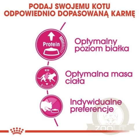 Royal Canin Exigent Protein Preference karma sucha dla kotów dorosłych, wybrednych, kierujących się białkiem 400g Royal Canin Exigent Protein Preference karma sucha dla kotów dorosłych, wybrednych, kierujących się białkiem 400g