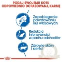 Royal Canin Indoor Long Hair karma sucha dla kotów dorosłych, długowłose, przebywających wyłącznie w domu 400g