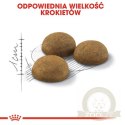 Royal Canin Indoor Long Hair karma sucha dla kotów dorosłych, długowłose, przebywających wyłącznie w domu 400g
