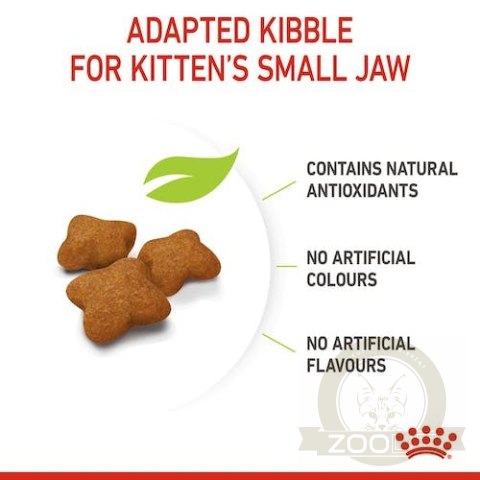 Royal Canin Kitten Sterilised karma sucha dla kociąt od 4 do 12 miesiąca życia, sterylizowanych 2kg Royal Canin Kitten Sterilised karma sucha dla kociąt od 4 do 12 miesiąca życia, sterylizowanych 2kg