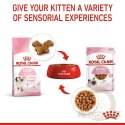 Royal Canin Kitten w sosie karma mokra dla kociąt do 12 miesiąca życia saszetka 85g