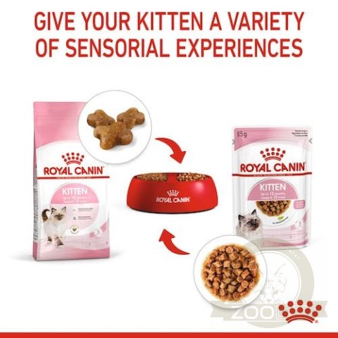 Royal Canin Kitten w sosie karma mokra dla kociąt do 12 miesiąca życia saszetka 85g Royal Canin Kitten w sosie karma mokra dla kociąt do 12 miesiąca życia saszetka 85g