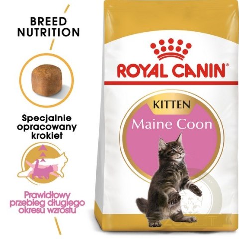 Royal Canin Maine Coon Kitten karma sucha dla kociąt, do 15 miesiąca, rasy maine coon 4kg Royal Canin Maine Coon Kitten karma sucha dla kociąt, do 15 miesiąca, rasy maine coon 4kg