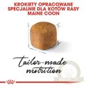 Royal Canin Maine Coon Kitten karma sucha dla kociąt, do 15 miesiąca, rasy maine coon 4kg