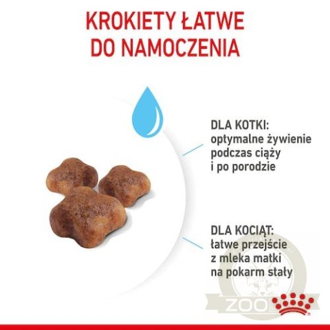 Royal Canin Mother&Babycat karma sucha dla kotek w okresie ciąży, laktacji i kociąt od 1 do 4 miesiąca 4kg Royal Canin Mother&Babycat karma sucha dla kotek w okresie ciąży, laktacji i kociąt od 1 do 4 miesiąca 4kg
