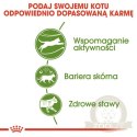 Royal Canin Outdoor karma sucha dla kotów dorosłych, wychodzących na zewnątrz 2kg