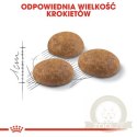 Royal Canin Outdoor karma sucha dla kotów dorosłych, wychodzących na zewnątrz 2kg