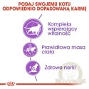 Royal Canin Sterilised 7+ karma sucha dla kotów dorosłych, od 7 do 12 roku życia, sterylizowanych 400g