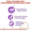 Royal Canin Sterilised karma sucha dla kotów dorosłych, sterylizowanych 400g