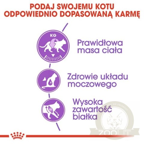 Royal Canin Sterilised karma sucha dla kotów dorosłych, sterylizowanych 400g Royal Canin Sterilised karma sucha dla kotów dorosłych, sterylizowanych 400g
