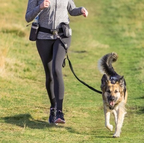 Trixie Pas biodrowy i Smycz Hands Free - zestaw do dogtrekkingu [TX-1275]