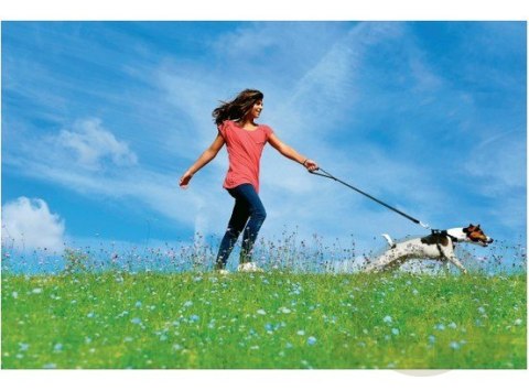 Zolux Szelki bezpieczeństwa dla psów rozmiar M [403325]