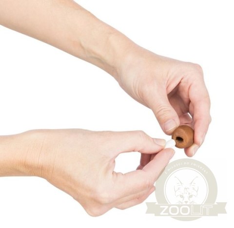 Trixie Przysmak do podawania tabletek dla psa 100g [TX-25841]